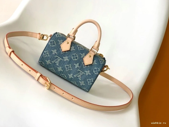WIS SPEEDY NANO LOUIS VUITTON 0824